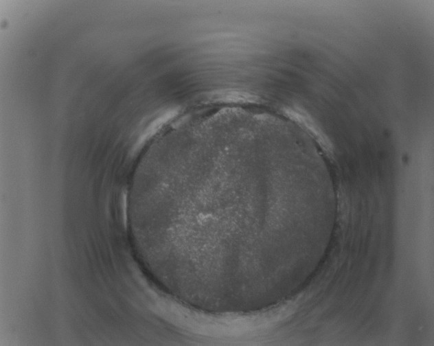 X0000062850014200601272053