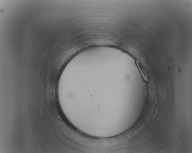 X0000062850015200601272053