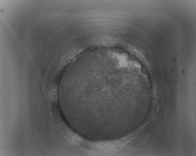 X0000062850017200601272053