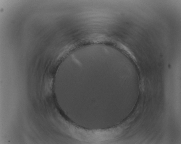 X0000062850018200601272053