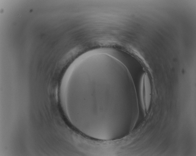 X0000062850019200601272053