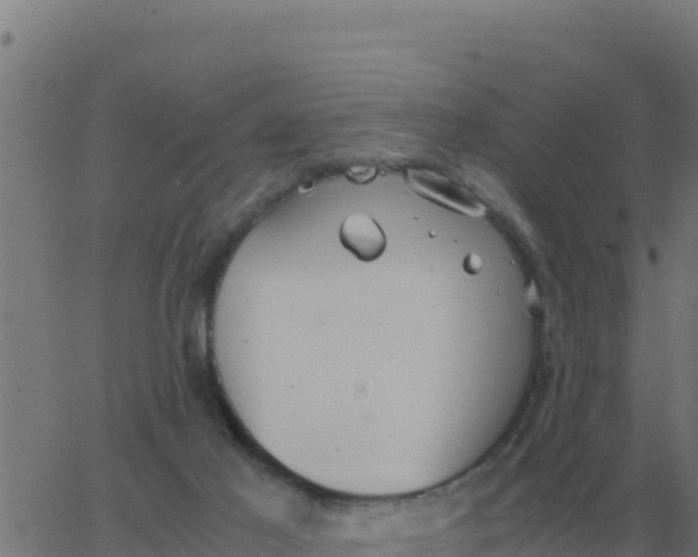 X0000062850021200601272053