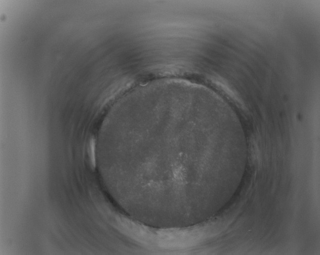 X0000062850022200601272053