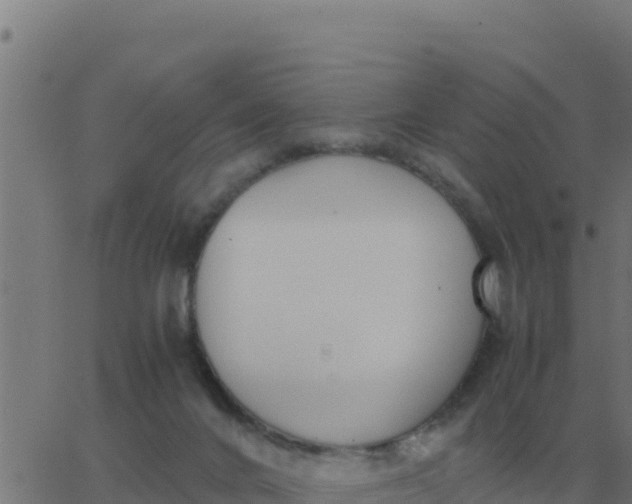 X0000062850024200601272052