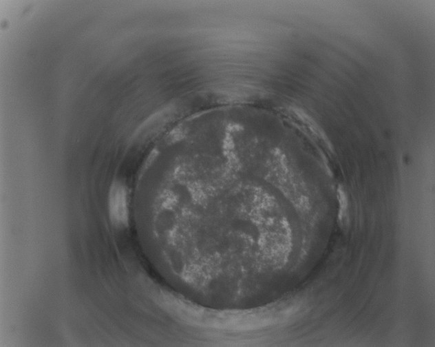 X0000062850026200601272052