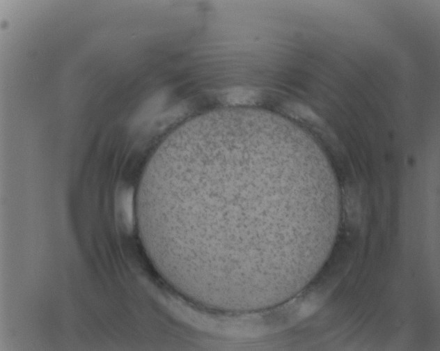 X0000062850028200601272052