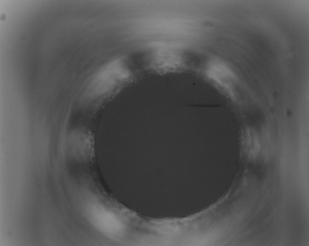 X0000062850029200601272052