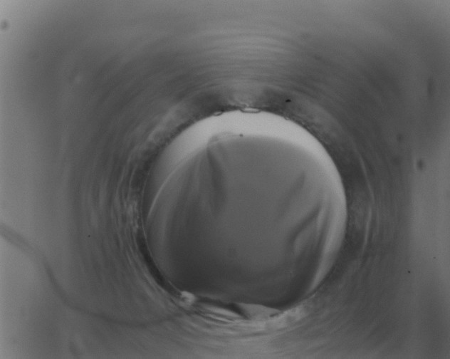 X0000062850031200601272052