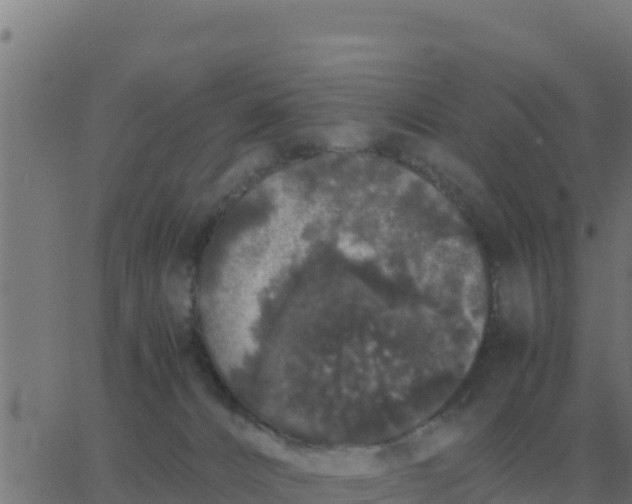 X0000062850032200601272052