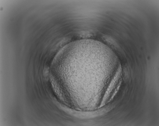 X0000062850034200601272052