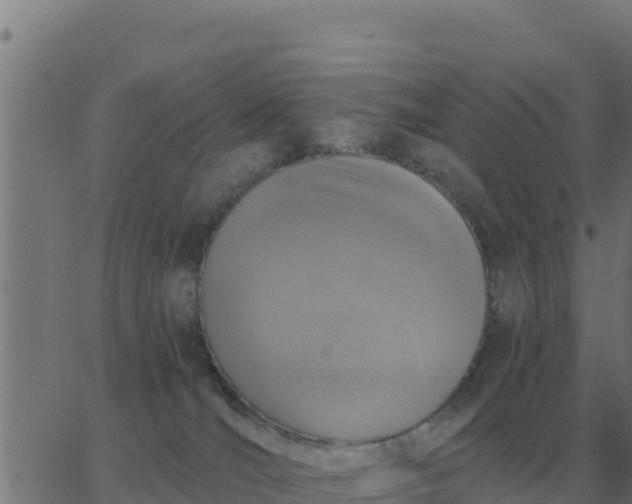 X0000062850036200601272052