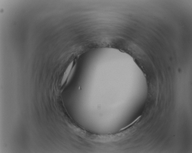 X0000062850037200601272052