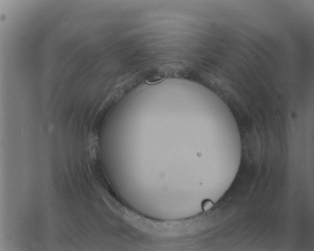 X0000062850038200601272052