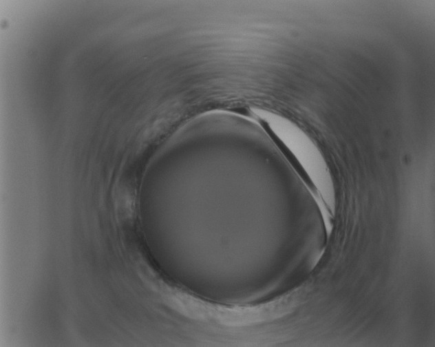 X0000062850039200601272052