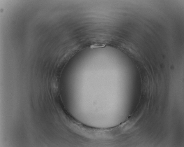 X0000062850040200601272052