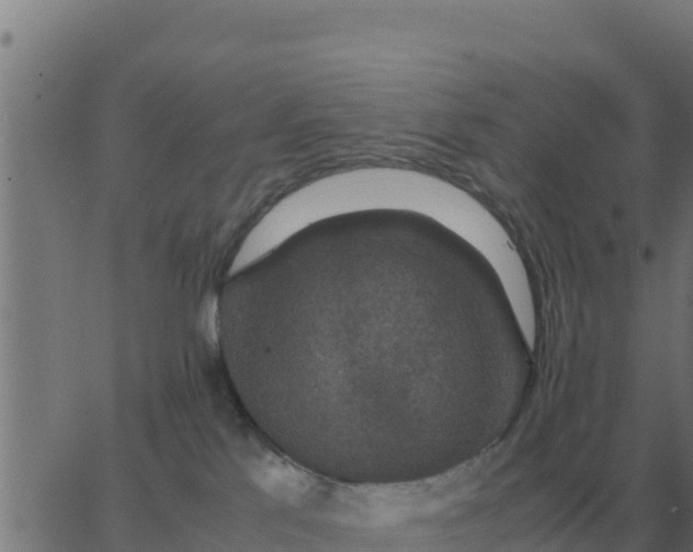 X0000062850041200601272052