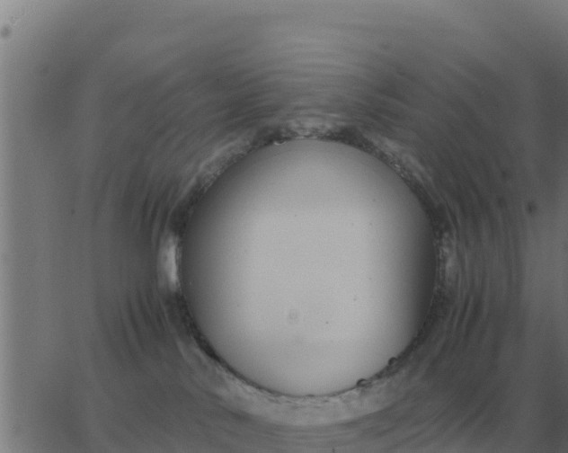 X0000062850042200601272052