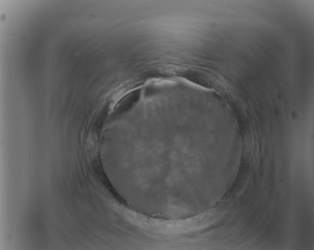 X0000062850043200601272052