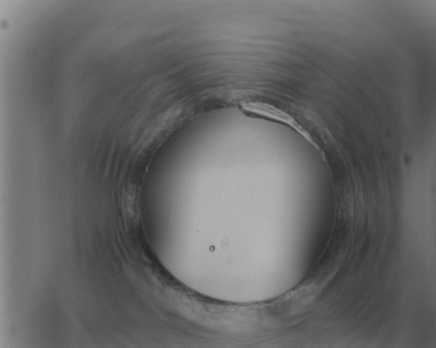 X0000062850044200601272052