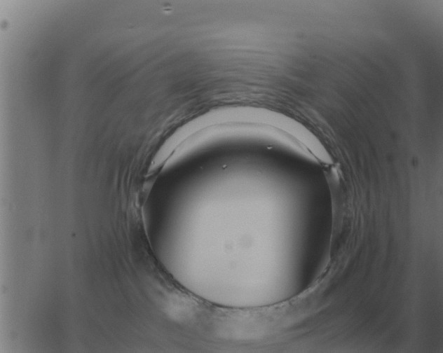 X0000062850045200601272052