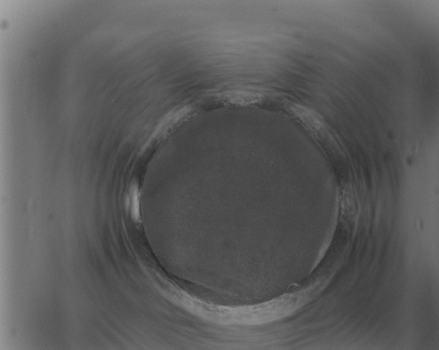 X0000062850046200601272052