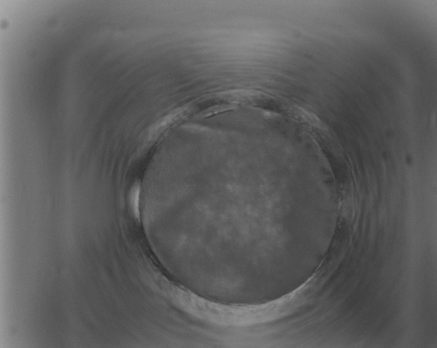 X0000062850047200601272052