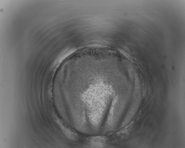 X0000062850050200601272051