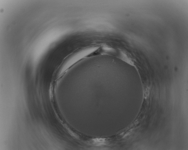 X0000062850052200601272051