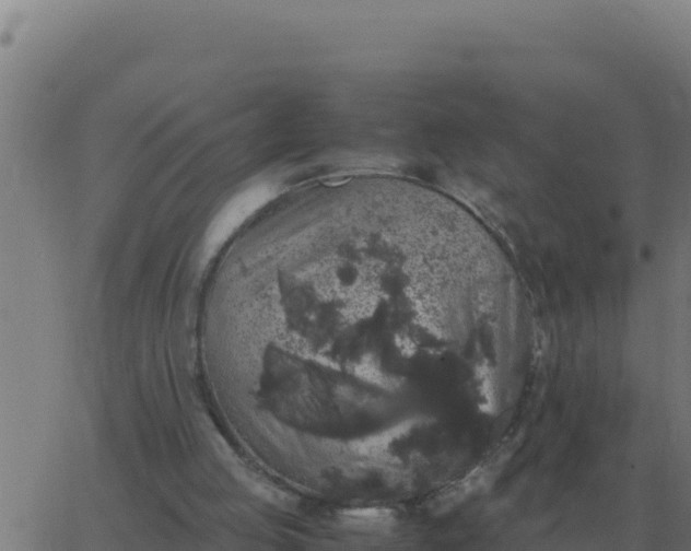 X0000062850053200601272051