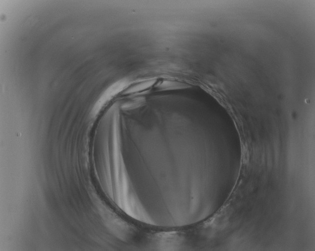 X0000062850054200601272051