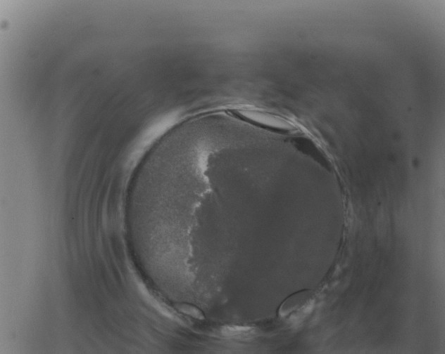 X0000062850055200601272051