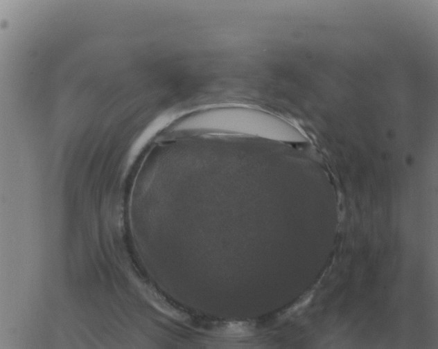 X0000062850056200601272051