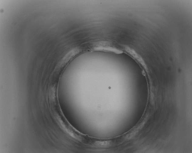 X0000062850057200601272051