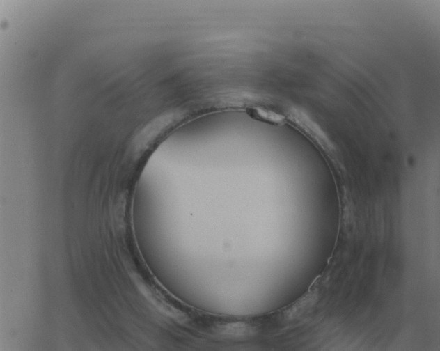 X0000062850058200601272051