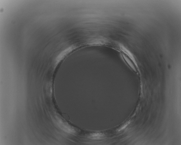 X0000062850059200601272051