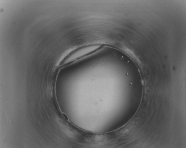 X0000062850060200601272051