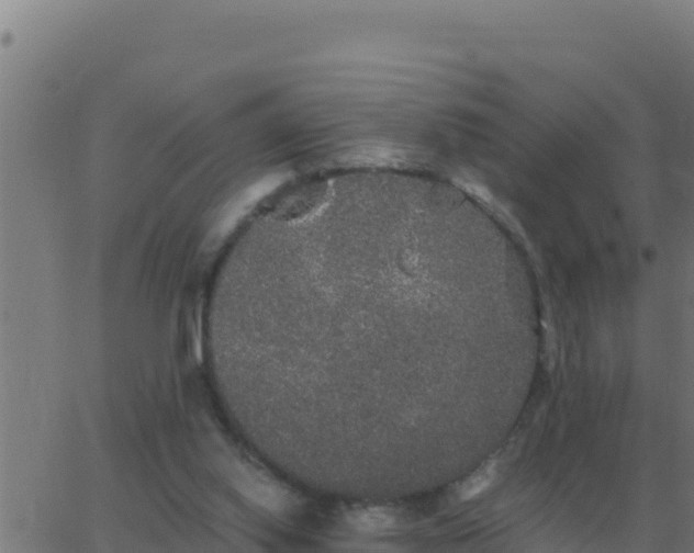 X0000062850062200601272052