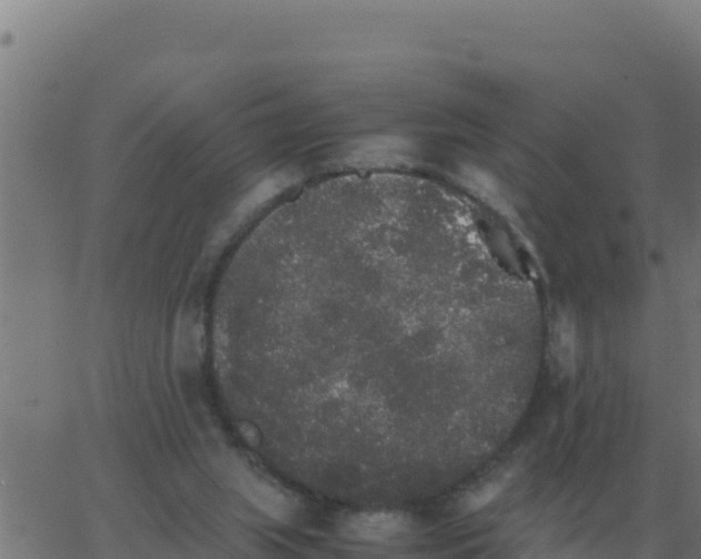 X0000062850063200601272052