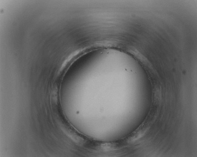 X0000062850064200601272052