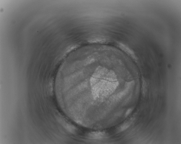 X0000062850065200601272052