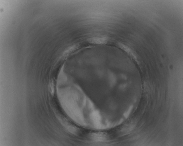 X0000062850069200601272052