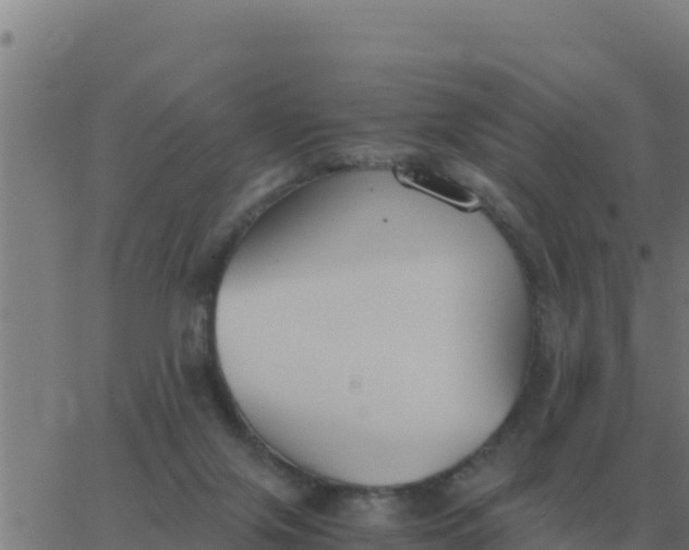 X0000062850071200601272052