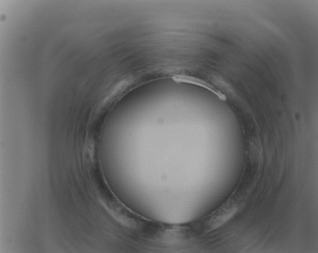 X0000062850072200601272052