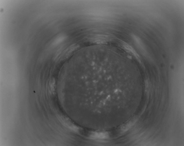 X0000062850073200601272052