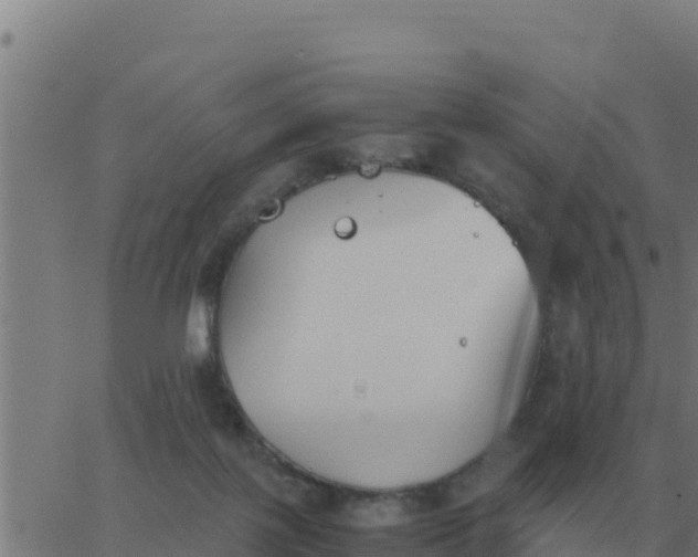 X0000062850075200601272052