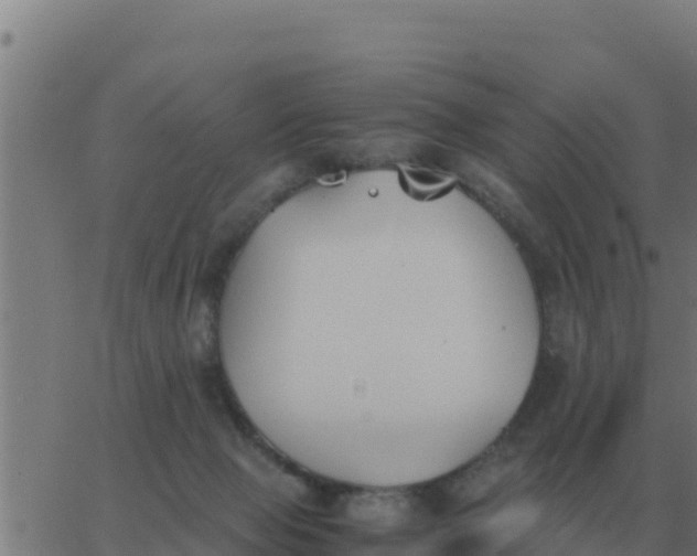 X0000062850077200601272052