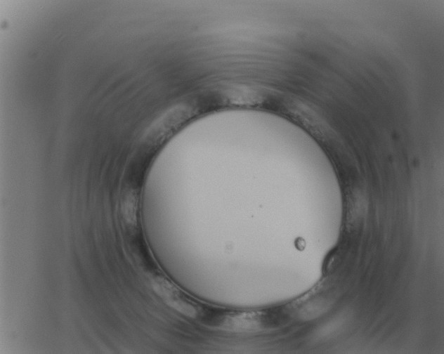 X0000062850078200601272052