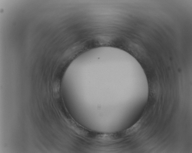 X0000062850082200601272052