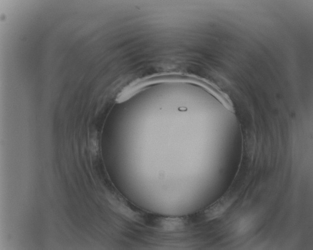 X0000062850085200601272052