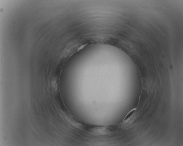 X0000062850086200601272052